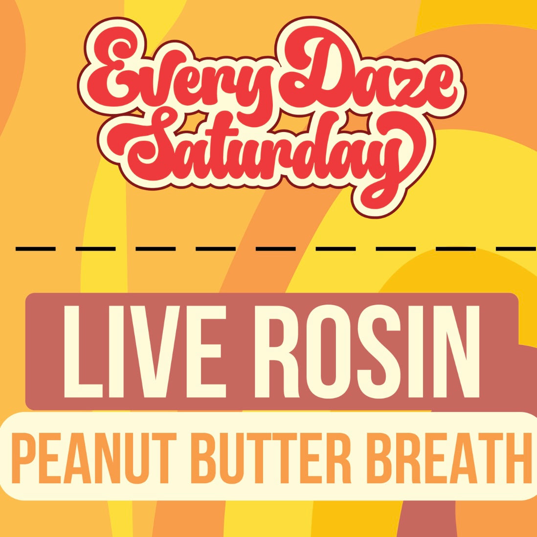 Every Daze Saturday - Live Rosin