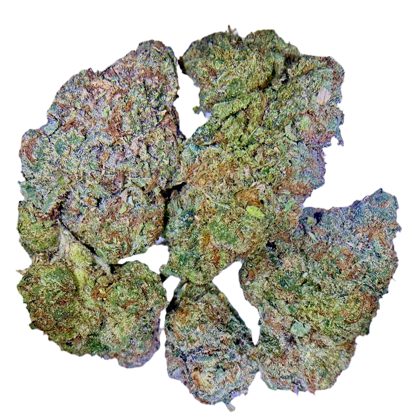 Every Daze Saturday - Exotic THCa Flower