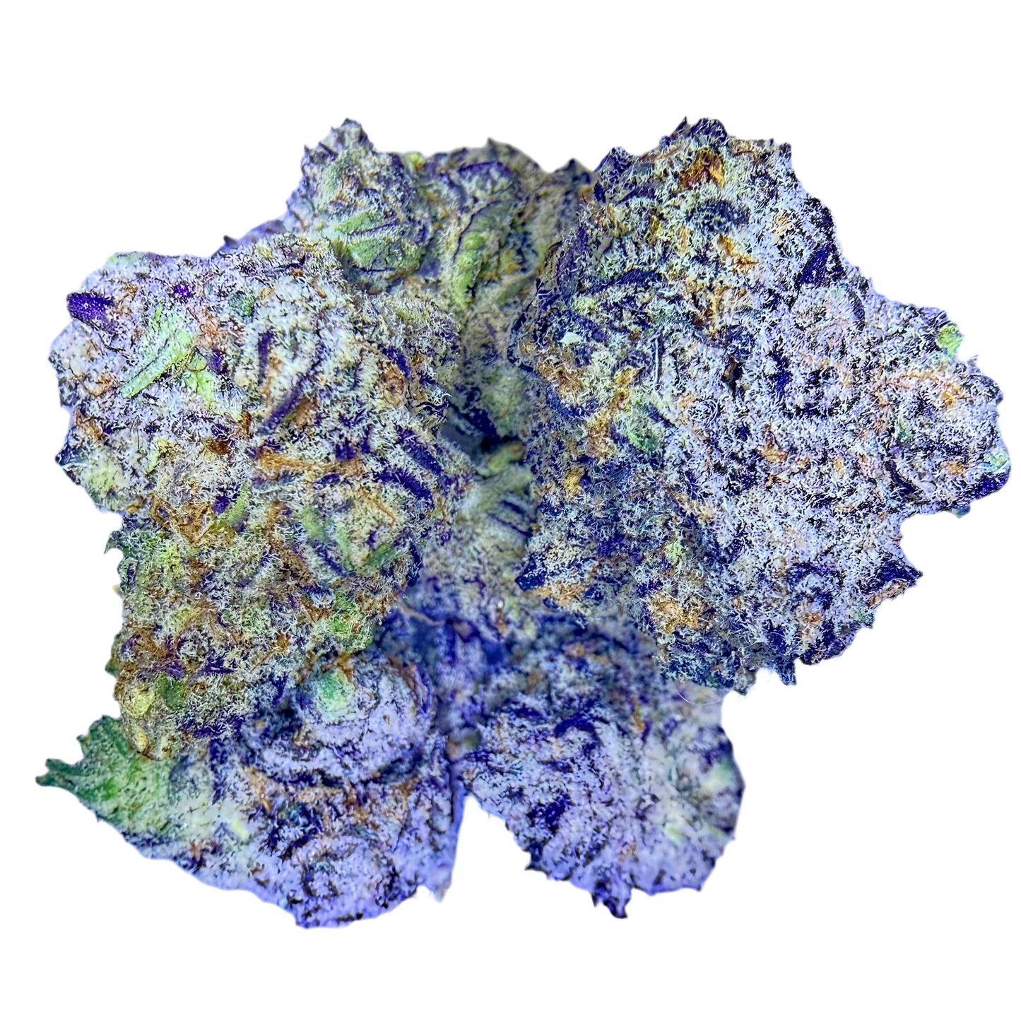 Every Daze Saturday - Exotic THCa Flower