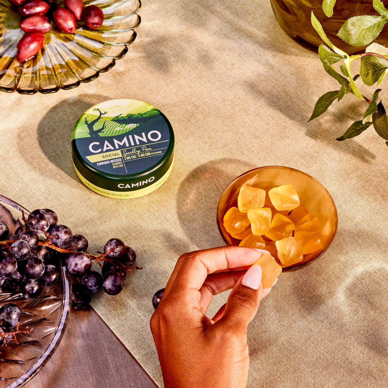 Camino - Infused Gummies
