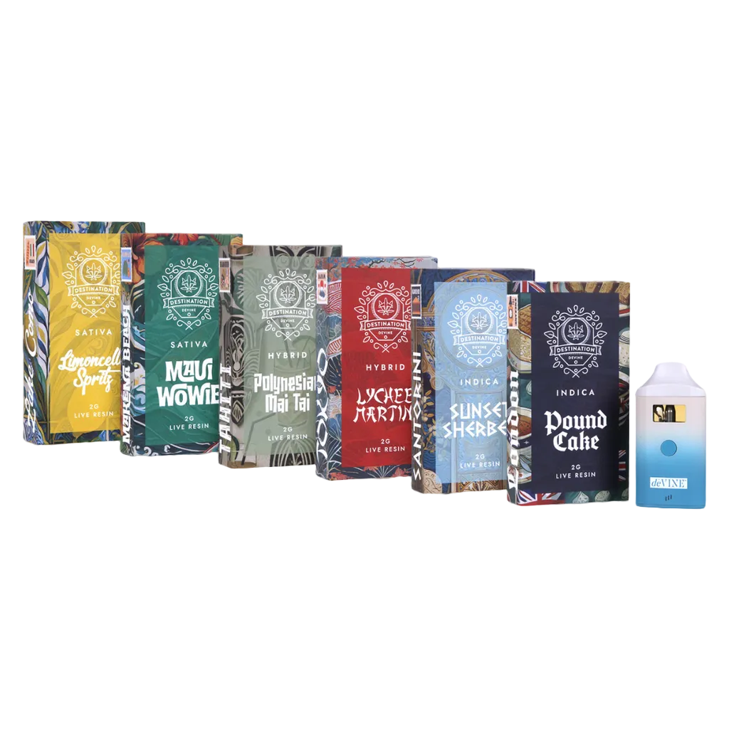 dėVINE - Destination Live Resin THC Disposable - 2g