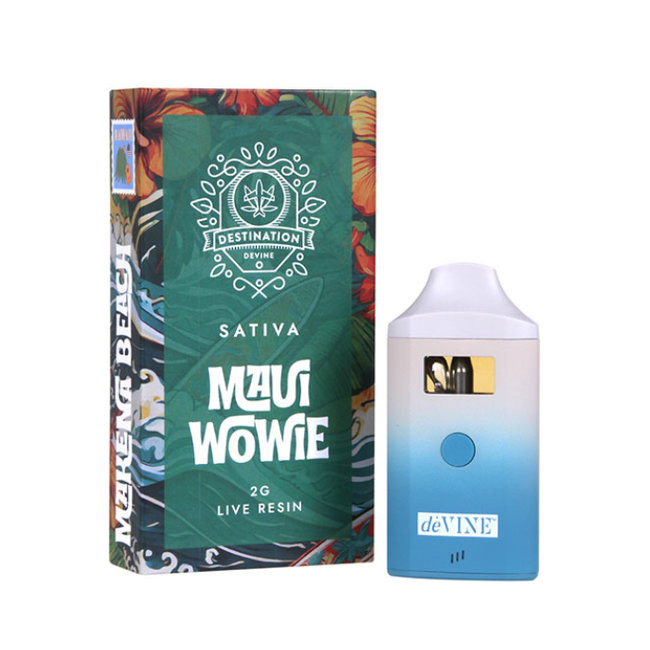 dėVINE - Destination Live Resin THC Disposable - 2g